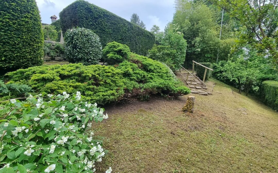 Crea facilmente il tuo giardino
