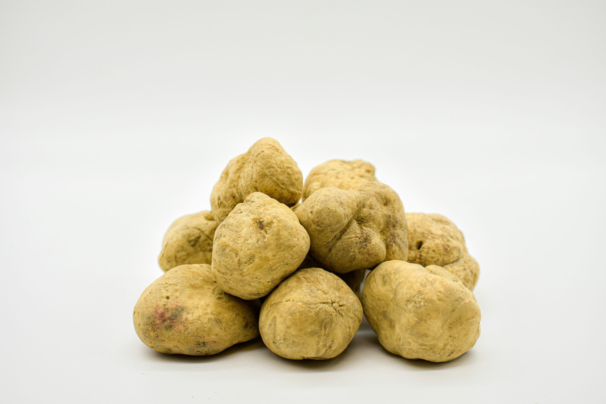 Tartufo bianco