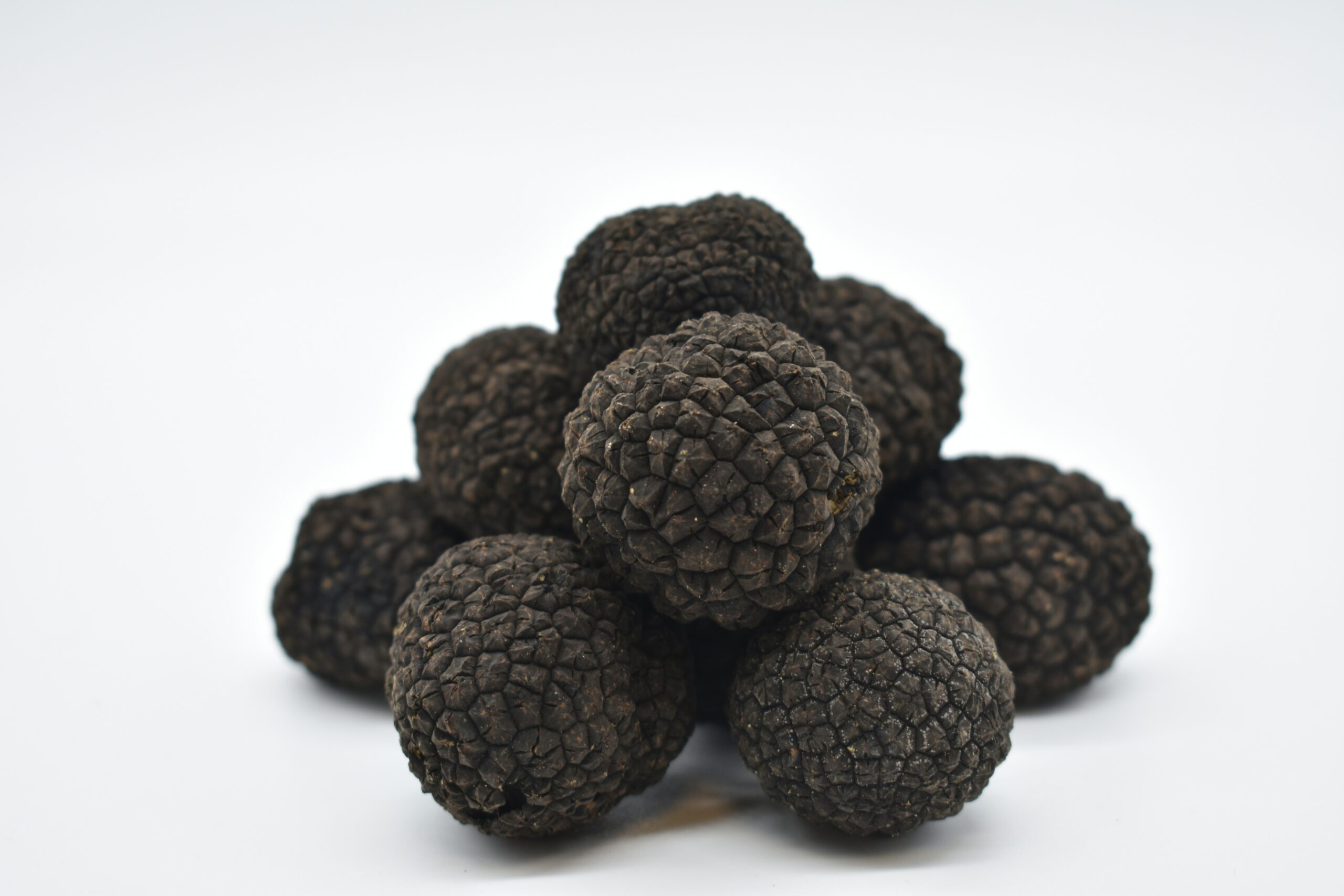 tartufo uncinato