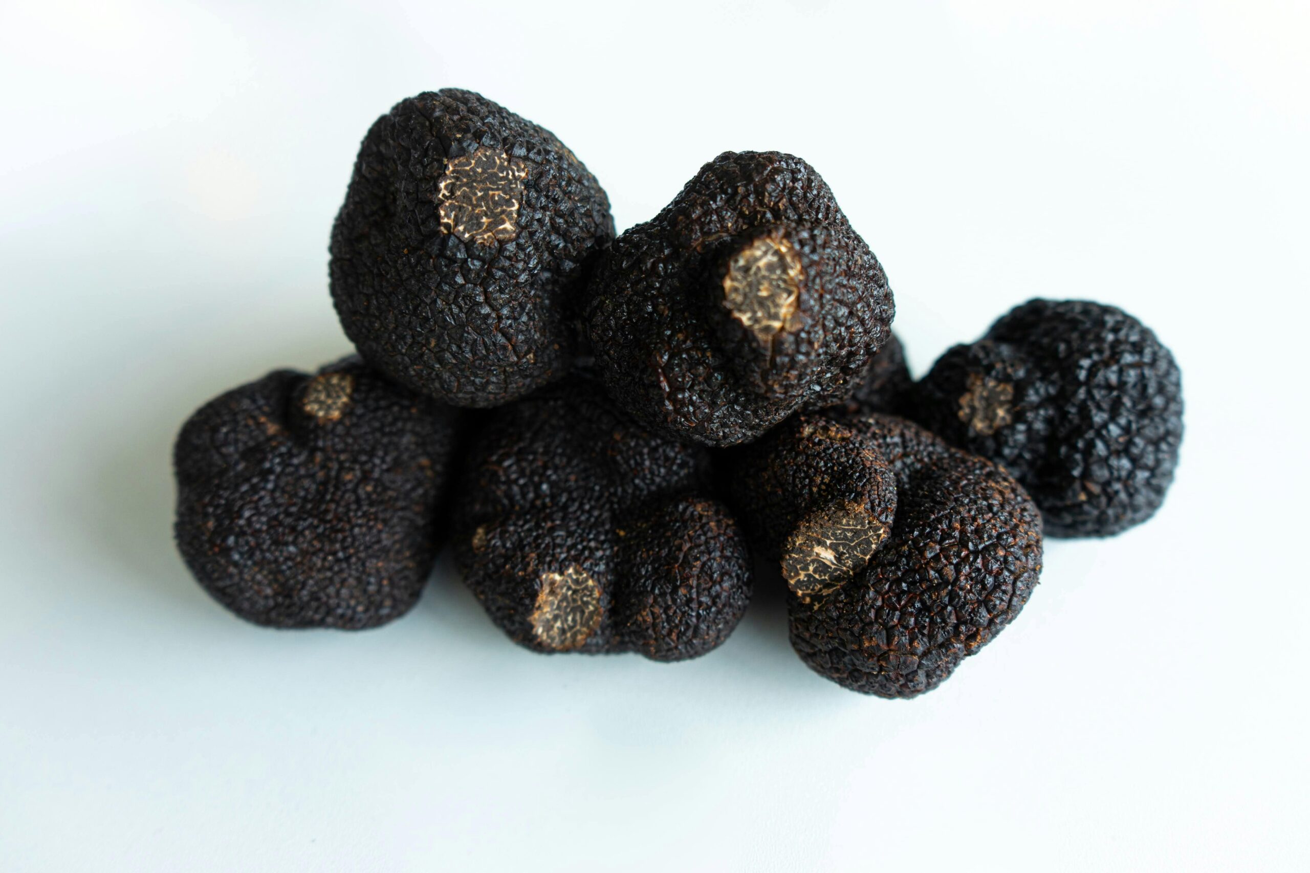 tartufo nero pregiato