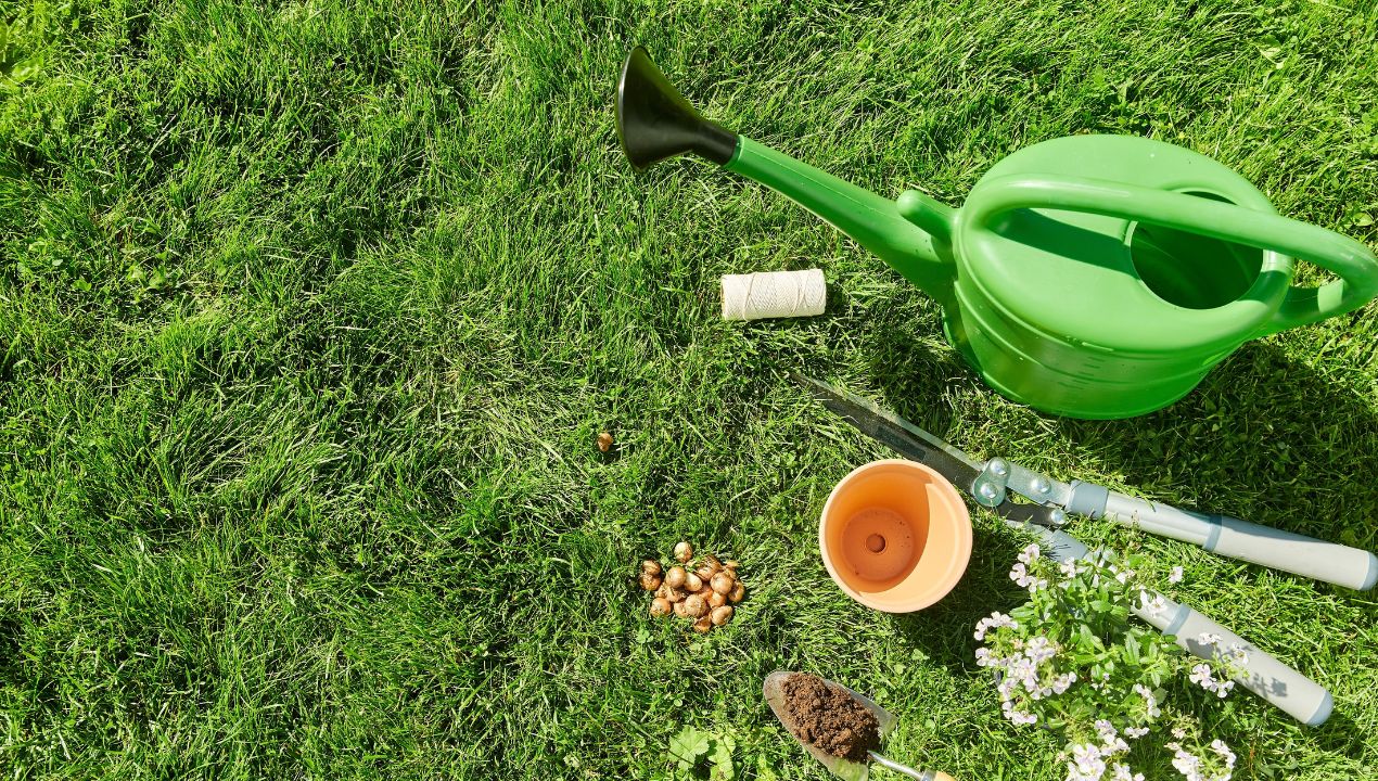 Come Progettare un Giardino Ecosostenibile